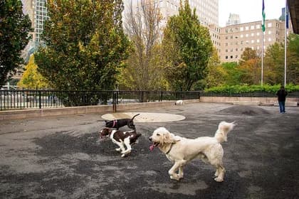 355 South End Avenue #35G, Manhattan, NY 10280 - Image 1