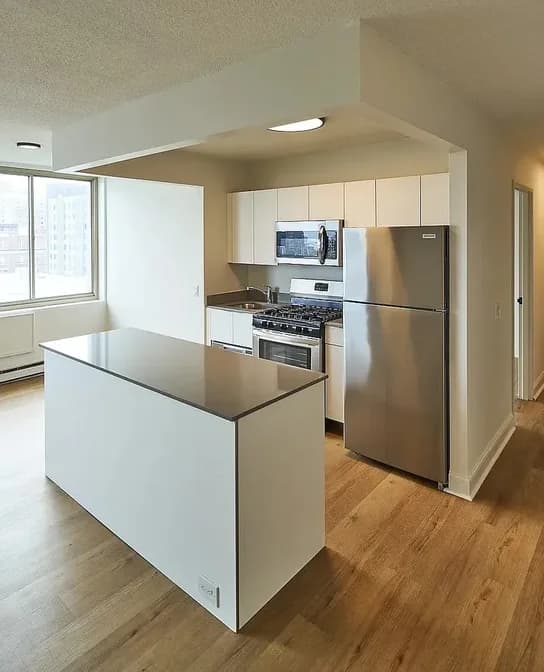 420 East 102 Street #3H, Manhattan, NY 10029 apartment_kitchen 1