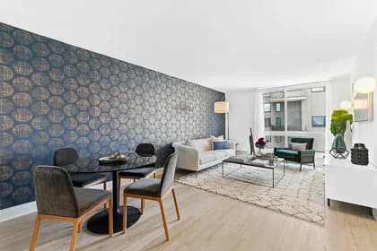 510 Main Street #114, Manhattan, NY 10044 - Image 1