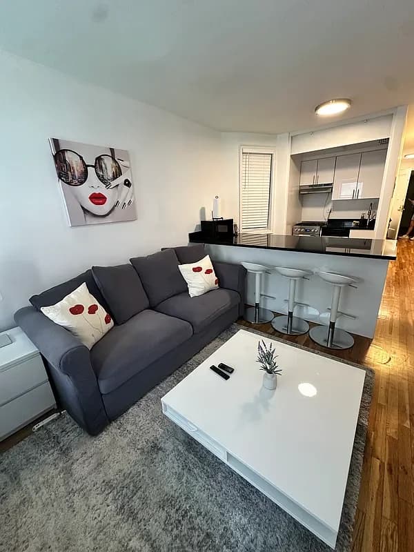 311 East 25 Street #2C, Manhattan, NY 10010 apartment_living_room 1