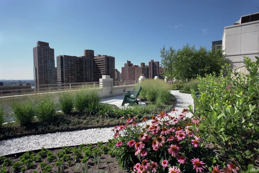 1500 Lexington Avenue #12A, Manhattan, NY 10029 amenity_roof_deck 1