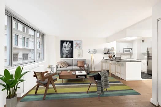 42 Lafayette Street #03B, Manhattan, NY 10013