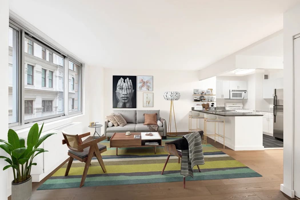 42 Lafayette Street #03C, Manhattan, NY 10013 apartment_living_room 1
