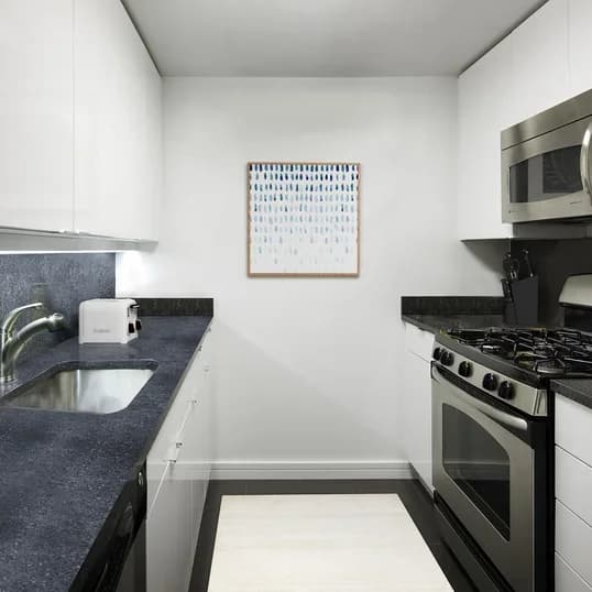 89 Murray Street #07A, Manhattan, NY 10007 apartment_kitchen 1