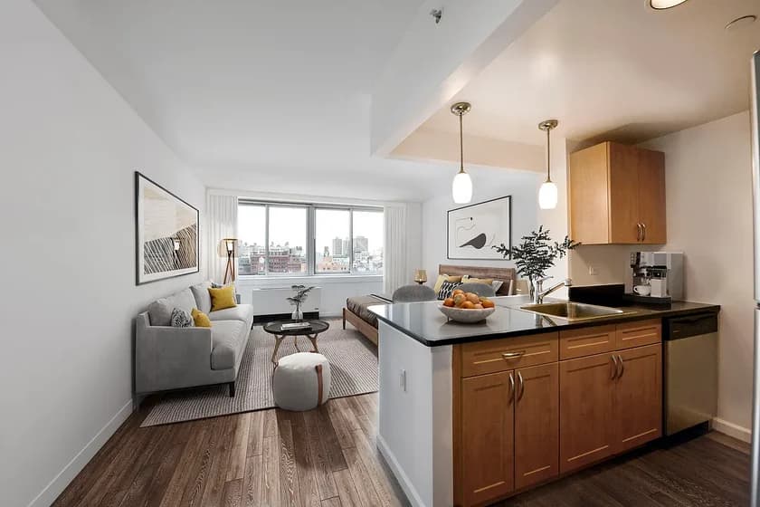 229 Chrystie Street #507, Manhattan, NY 10002 apartment_living_room 1
