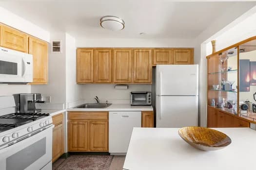 102 Bradhurst Avenue #1007, Manhattan, NY 10039 - Image 1