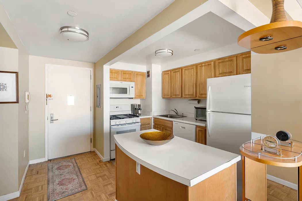 102 Bradhurst Avenue #1007, Manhattan, NY 10039 apartment_kitchen 1