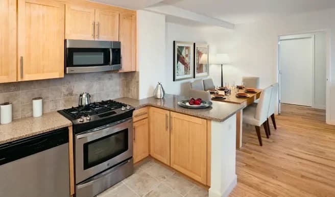 Tapestry 245 East 124 Street #08F, Manhattan, NY 10037 apartment_kitchen 1