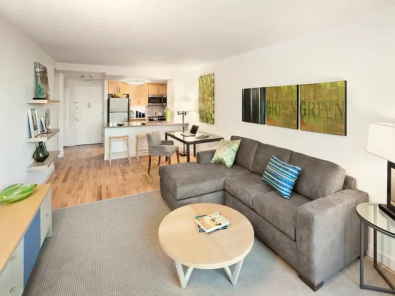 245 East 124 Street #12T, Manhattan, NY 10037 apartment_living_room 1