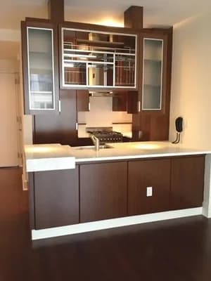 60 Riverside Boulevard #0325, Manhattan, NY 10069
