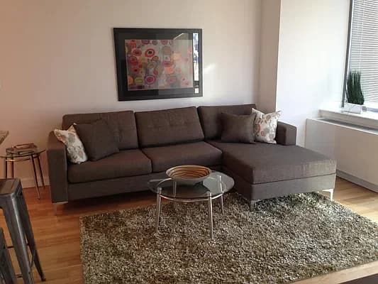 188 Ludlow Street #23J, Manhattan, NY 10002 apartment_living_room 1