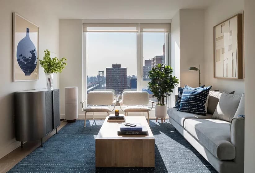 55 Suffolk Street #1108, Manhattan, NY 10002 apartment_living_room 1