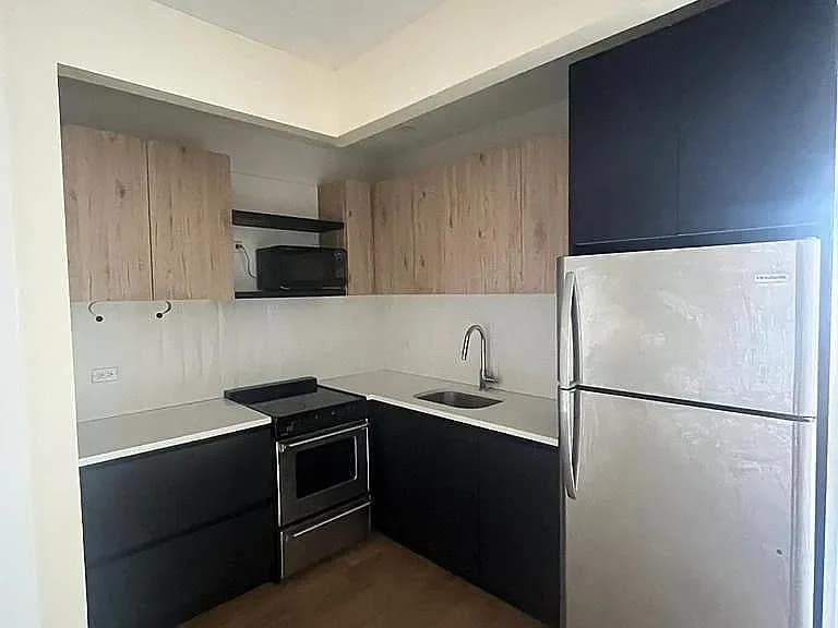 333 Cypress Avenue #5-F, The Bronx, NY 10454 apartment_kitchen 1
