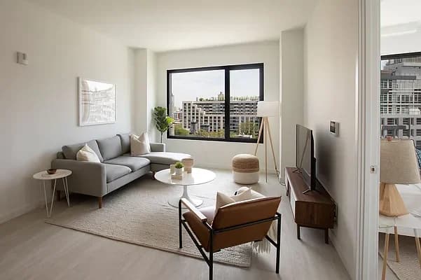 22 Chapel Street #14M, Brooklyn, NY 11201 apartment_living_room 1