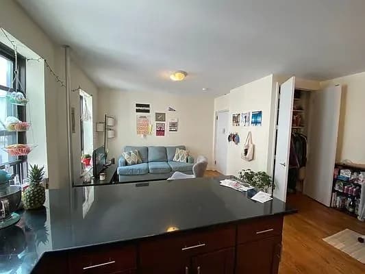 1580 President Street #14, Brooklyn, NY 11213