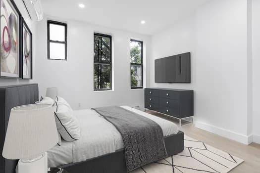 810 Macon Street #B2, Brooklyn, NY 11233