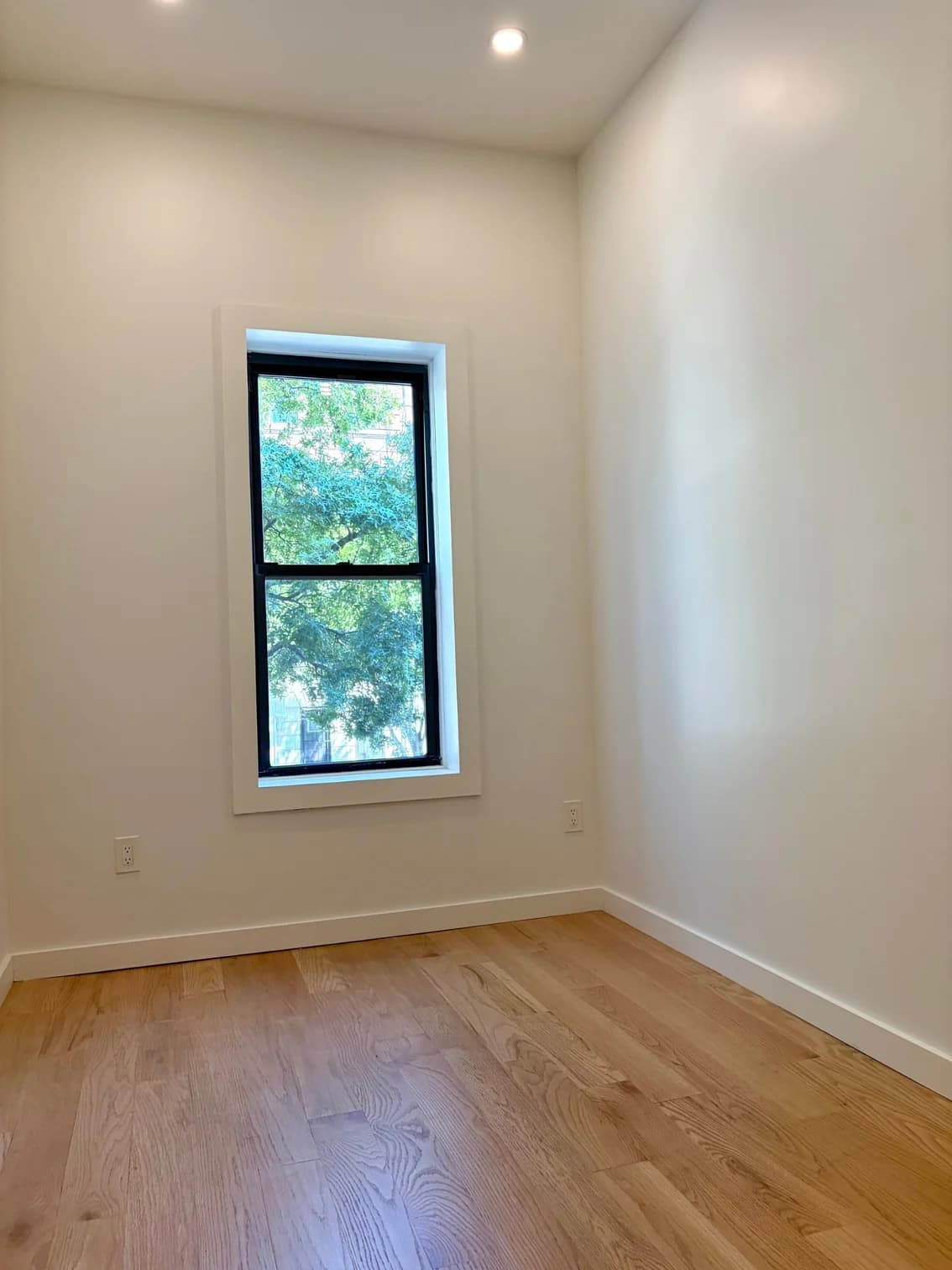 348 Malcolm X Boulevard #2-F, Brooklyn, NY 11233 apartment_bedroom_room 1