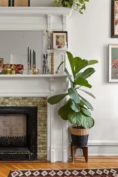 274 Hancock Street #4, Brooklyn, NY 11216 - Image 1