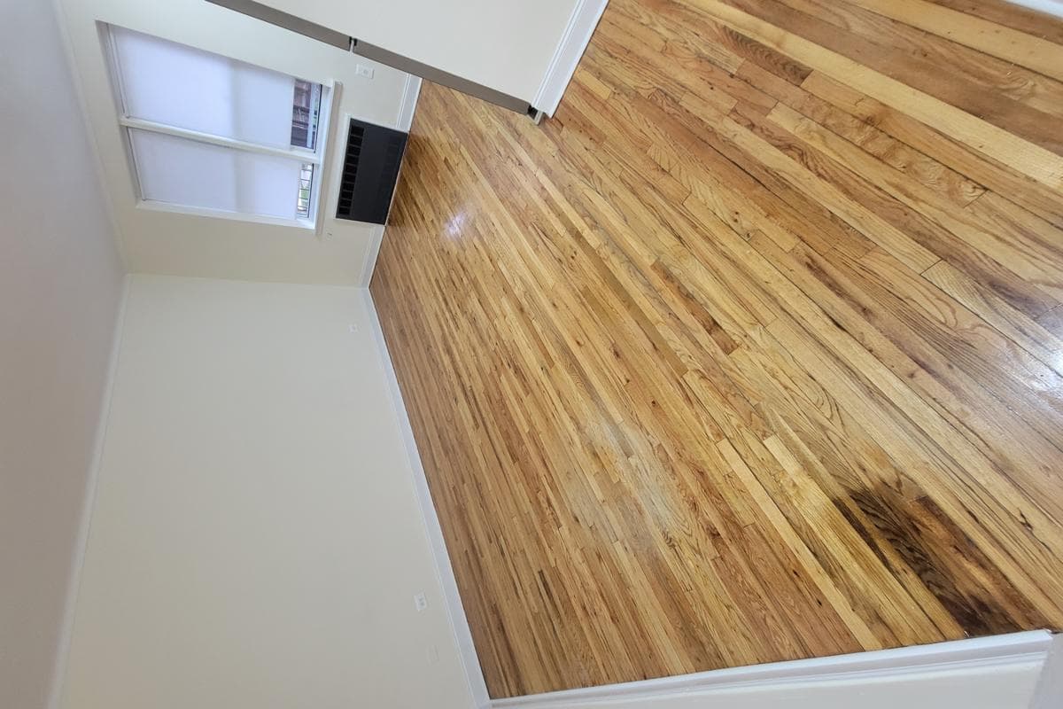 2684 West Street #3F, Brooklyn, NY 11223 100