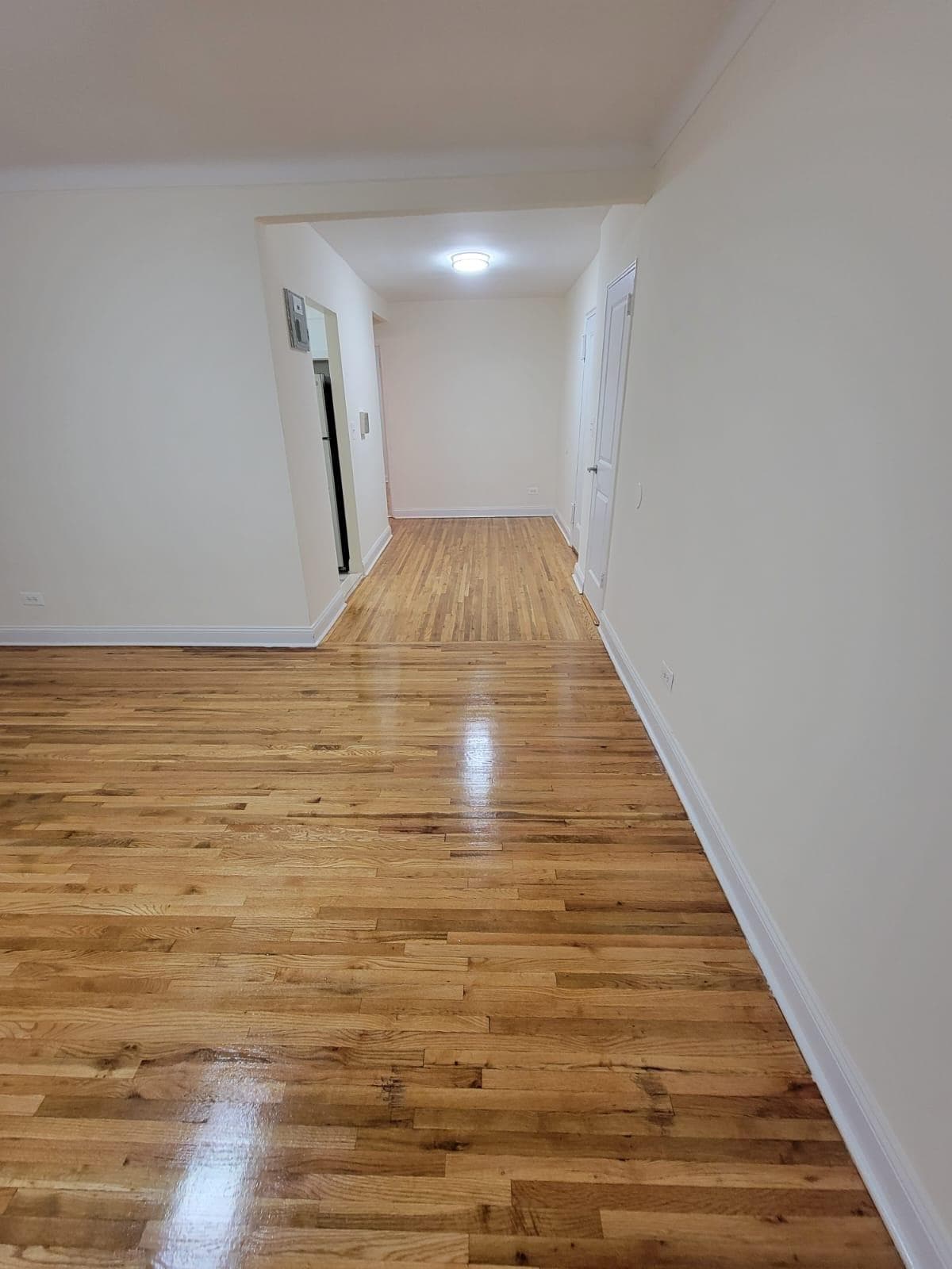 2634 West Street #2E, Brooklyn, NY 11223