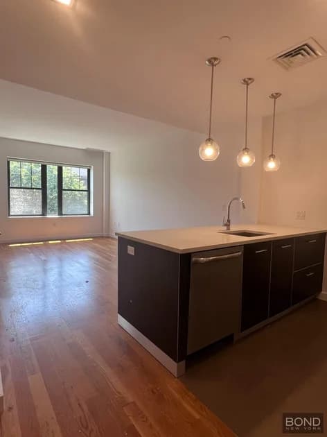 123 Parkside Avenue #1E, Brooklyn, NY 11226 - Image 1