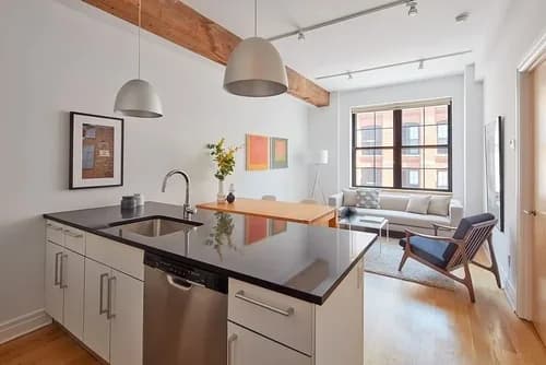 30 Washington Street #2P, Brooklyn, NY 11201
