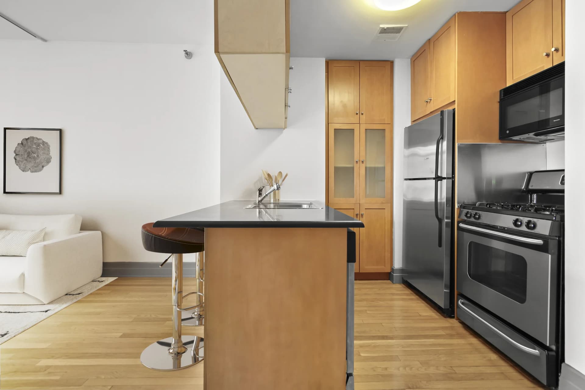 125 Court Street #9SG, Brooklyn, NY 11201 apartment_kitchen 1