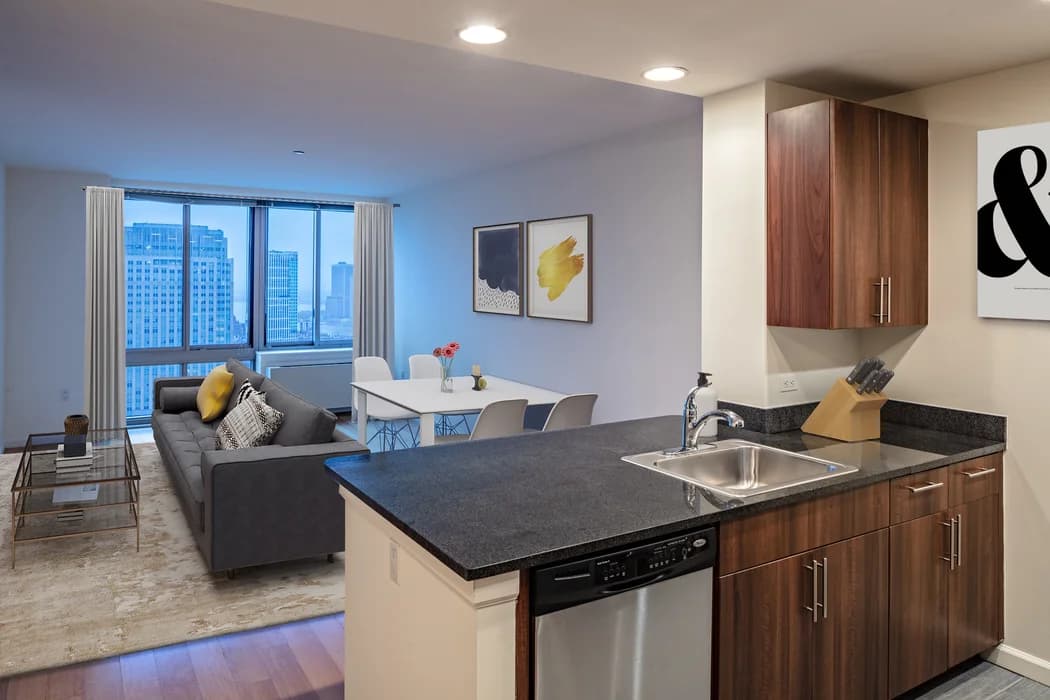 343 Gold Street #203, Brooklyn, NY 11201