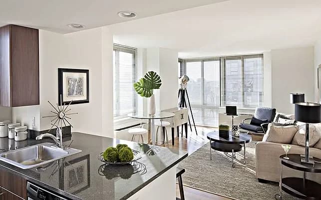 AVA Fort Greene 343 Gold Street #2917, Brooklyn, NY 11201 apartment_living_room 1