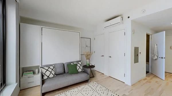 19 Lafayette Ave #1007, Brooklyn, NY 11217 apartment_living_room 1