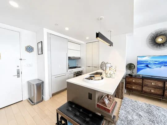 22 North 6 Street #25L, Brooklyn, NY 11249