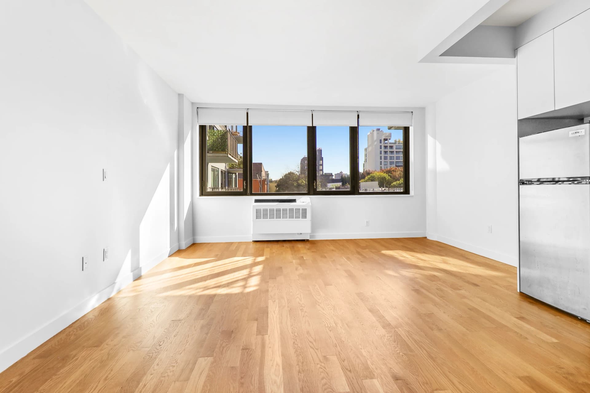 316 Bergen St #0503, Brooklyn, NY 11217 apartment_living_room 1