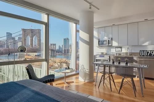 60 Water Street #1509, Brooklyn, NY 11201