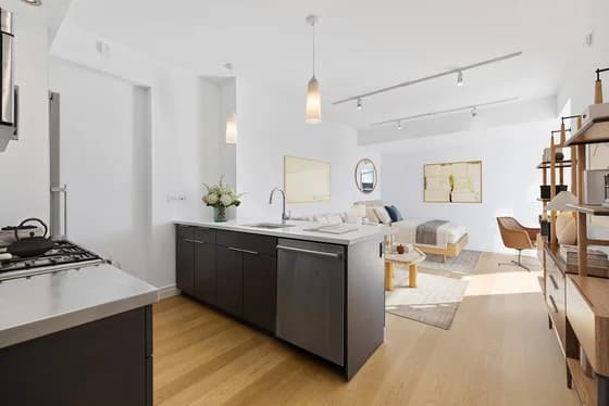 60 Water Street #811, Brooklyn, NY 11201