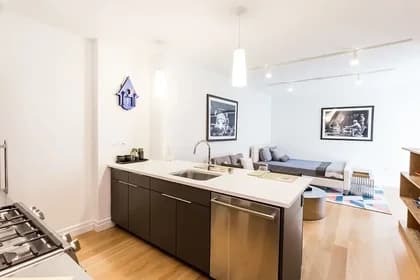 60 Water Street #911, Brooklyn, NY 11201