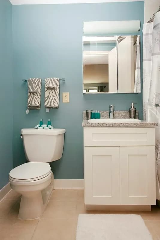 218 Myrtle Avenue #7E, Brooklyn, NY 11201 apartment_bathroom 1