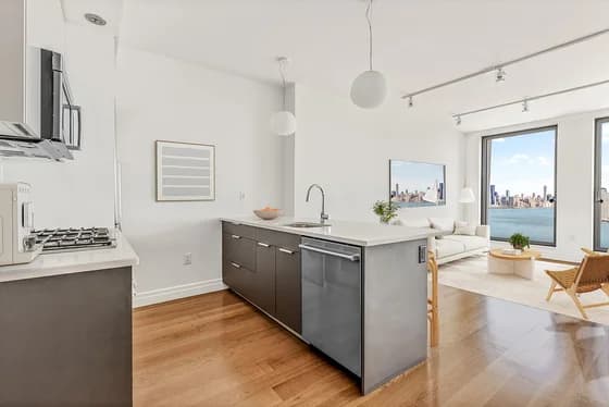 1 South 1 Street #PH2J, Brooklyn, NY 11249