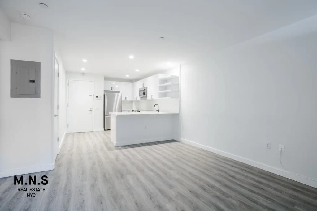 387 Manhattan Avenue #2D, Brooklyn, NY 11211 apartment_living_room 1