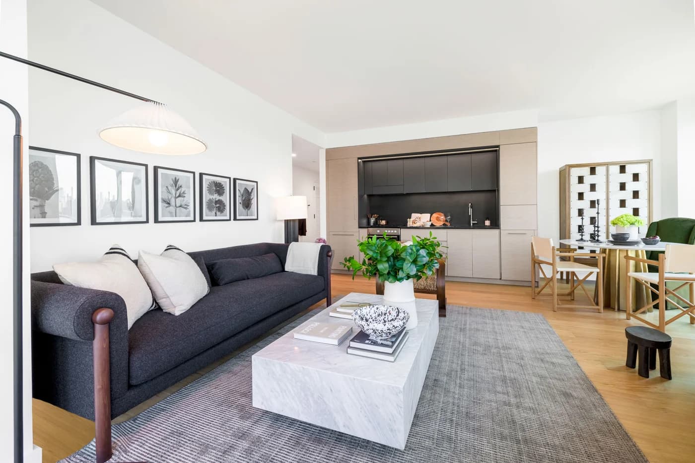 1 Eagle Street #1-2909, Brooklyn, NY 11222 apartment_living_room 1