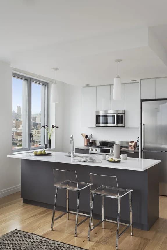 300 Ashland Place #17U, Brooklyn, NY 11217