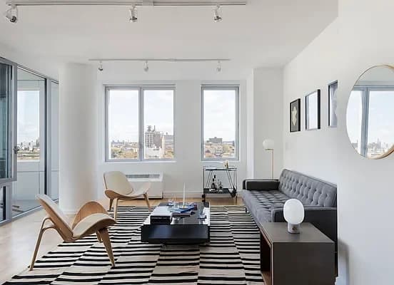 300 Ashland Place #27B, Brooklyn, NY 11217 apartment_living_room 1