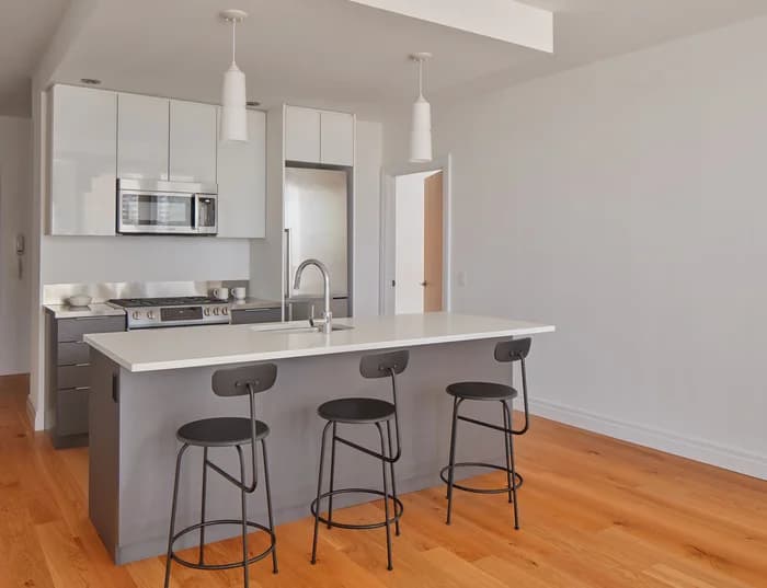 300 Ashland Place #31A, Brooklyn, NY 11217