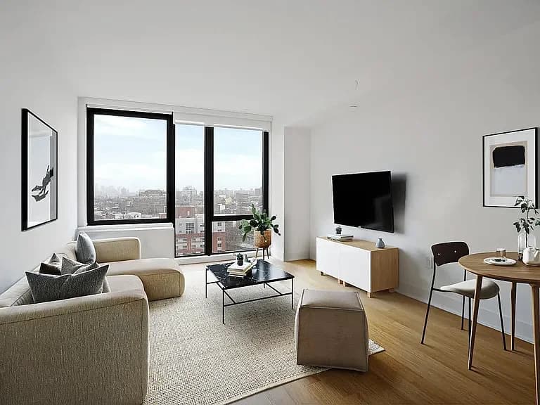 662 Pacific Street #16E, Brooklyn, NY 11217 apartment_living_room 1