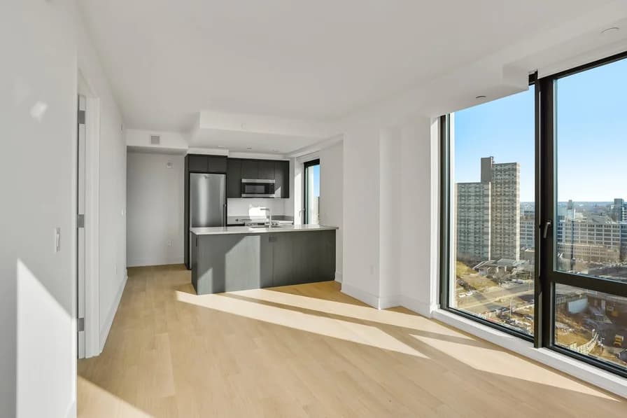 662 Pacific Street #19B, Brooklyn, NY 11217 apartment_living_room 1