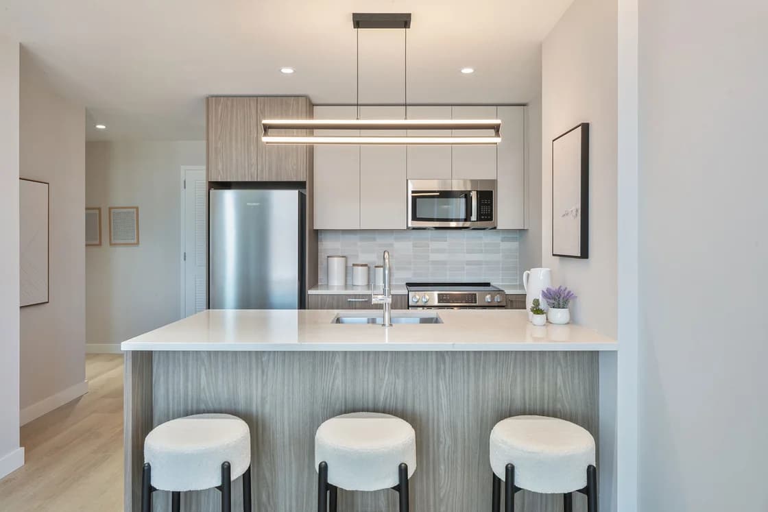 1057 Atlantic Avenue #901, Brooklyn, NY 11238 apartment_kitchen 1
