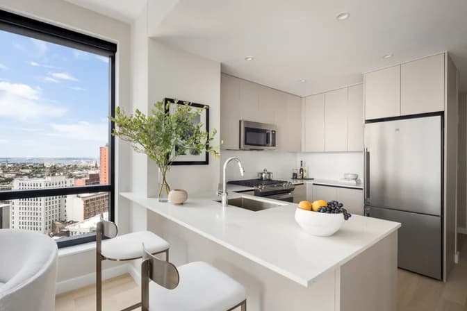 567 Fulton Street #20D, Brooklyn, NY 11201