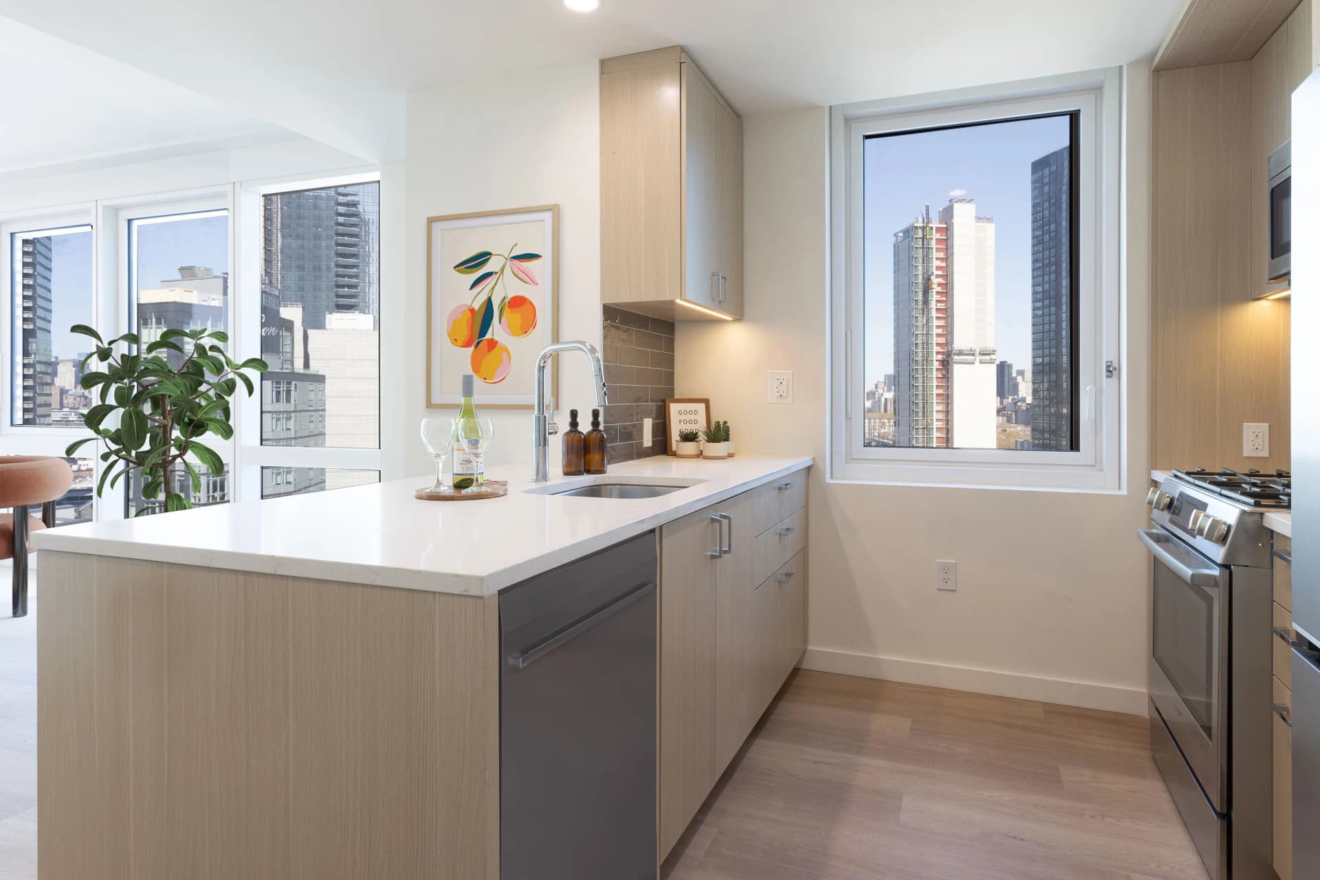 The Bold 27-01 Jackson Avenue #24E, Queens, NY 11101 apartment_kitchen 1
