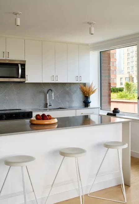 2-33 50 Ave #W307, Queens, NY 11101 apartment_kitchen 1