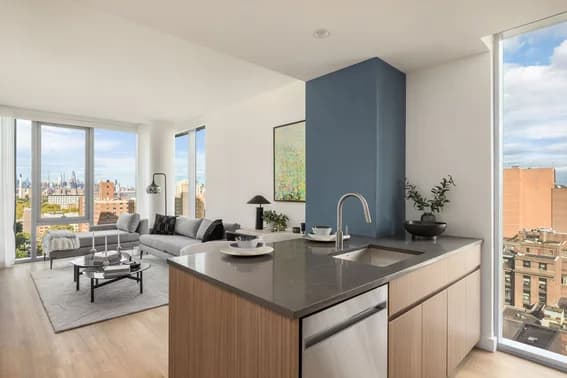 89 Dekalb Avenue #25E, Brooklyn, NY 11201