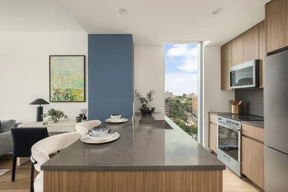 89 Dekalb Avenue #25E, Brooklyn, NY 11201